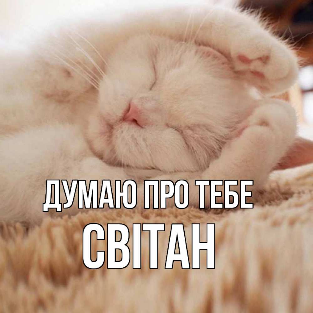 Открытка на каждый день з підписом, Світан Думаю про тебе для любимой девушки милота Прикольна листівка з побажанням онлайн скачати безкоштовно 