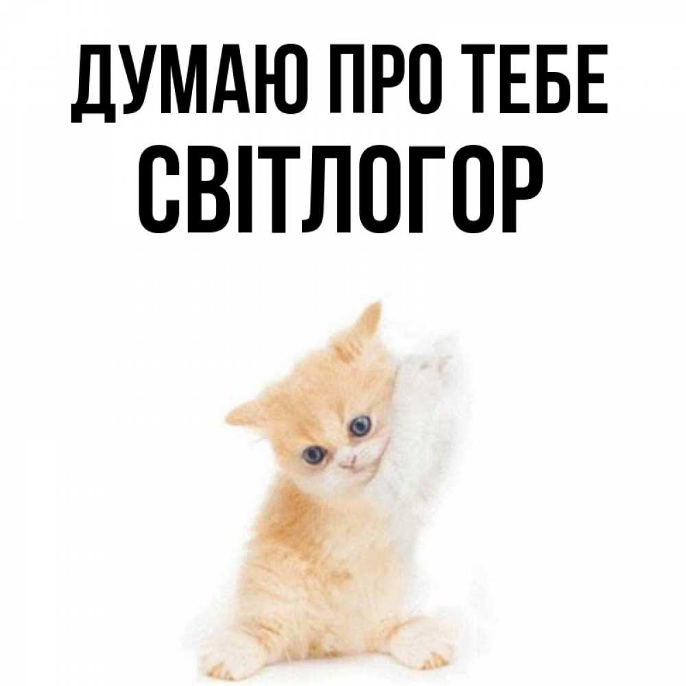 Открытка на каждый день з підписом, Світлогор Думаю про тебе зверушки и милота Прикольна листівка з побажанням онлайн скачати безкоштовно 