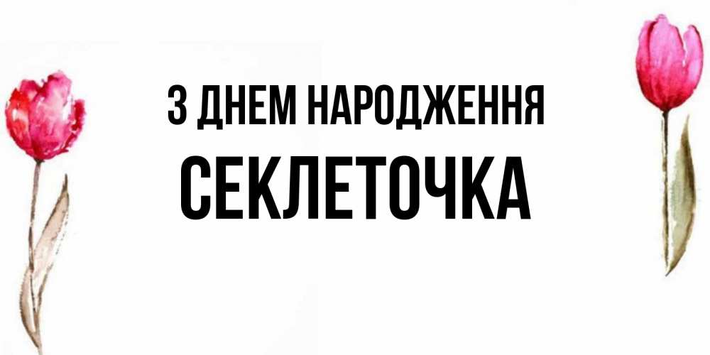 Открытка на каждый день з підписом, Секлеточка З Днем народження открытки акварелью с цветами Прикольна листівка з побажанням онлайн скачати безкоштовно 