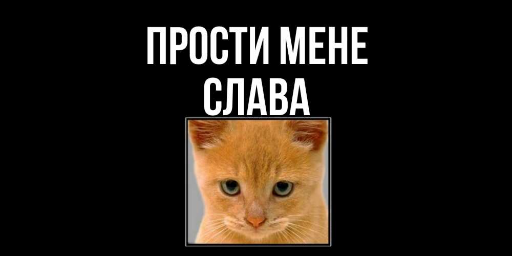 Открытка на каждый день з підписом, Слава Прости мене рыжий грустный кот просит прощения Прикольна листівка з побажанням онлайн скачати безкоштовно 