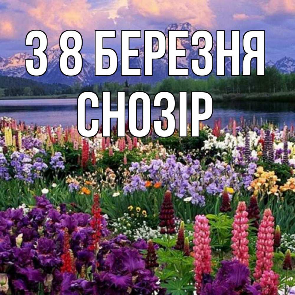 Открытка на каждый день з підписом, Снозір З 8 БЕРЕЗНЯ международный женский день Прикольна листівка з побажанням онлайн скачати безкоштовно 