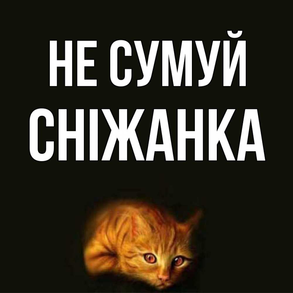 Открытка на каждый день з підписом, Сніжанка Не сумуй лежащий кот в темноте Прикольна листівка з побажанням онлайн скачати безкоштовно 