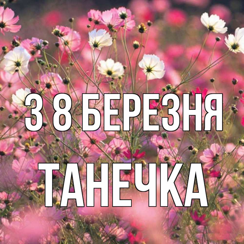 Открытка на каждый день з підписом, Танечка З 8 БЕРЕЗНЯ красиво 1 Прикольна листівка з побажанням онлайн скачати безкоштовно 