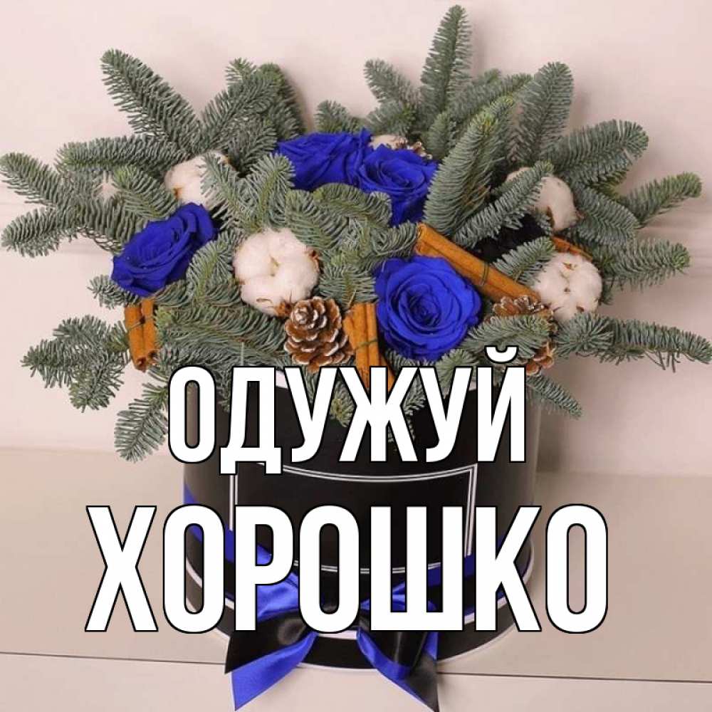 Открытка на каждый день з підписом, Хорошко Одужуй короче кто то загрузил эти шишки Прикольна листівка з побажанням онлайн скачати безкоштовно 