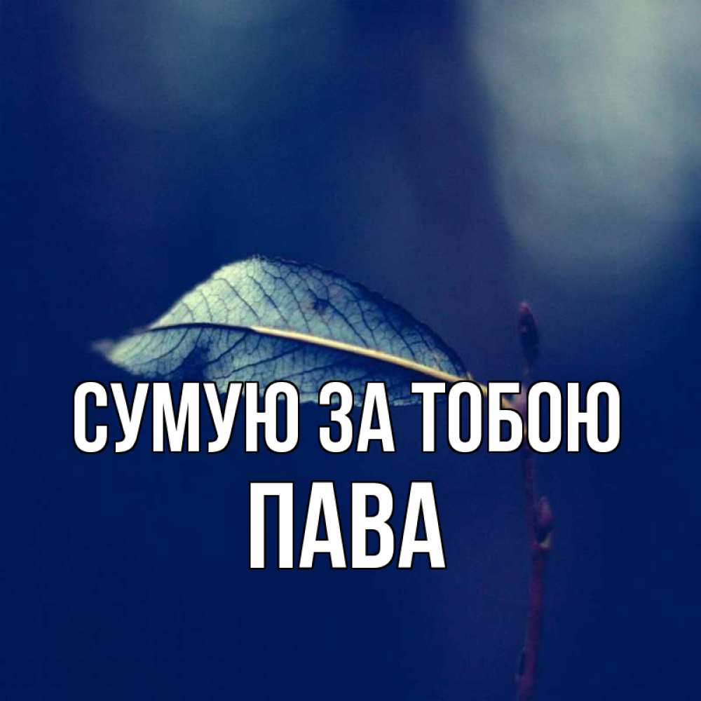 Открытка на каждый день з підписом, Пава Сумую за тобою одна ветка 1 Прикольна листівка з побажанням онлайн скачати безкоштовно 