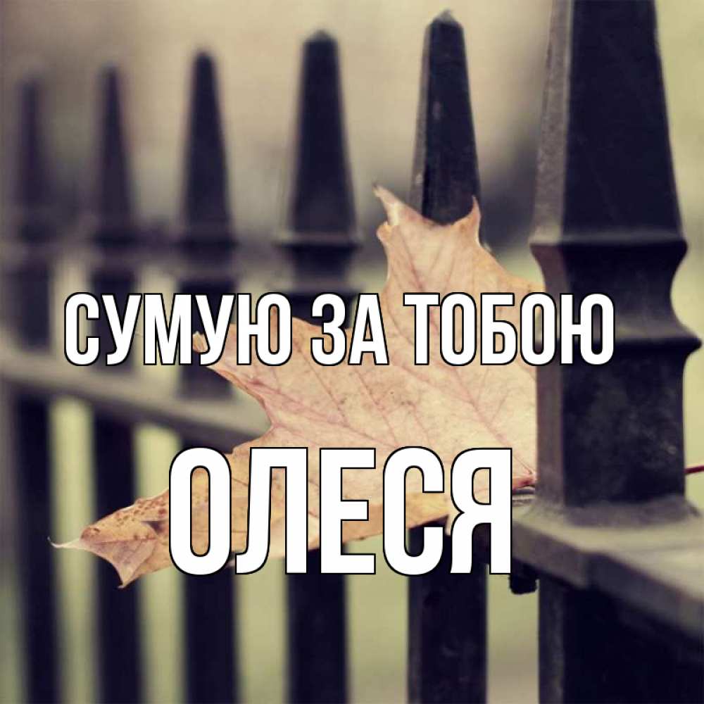 Открытка на каждый день з підписом, Олеся Сумую за тобою очень скучно Прикольна листівка з побажанням онлайн скачати безкоштовно 