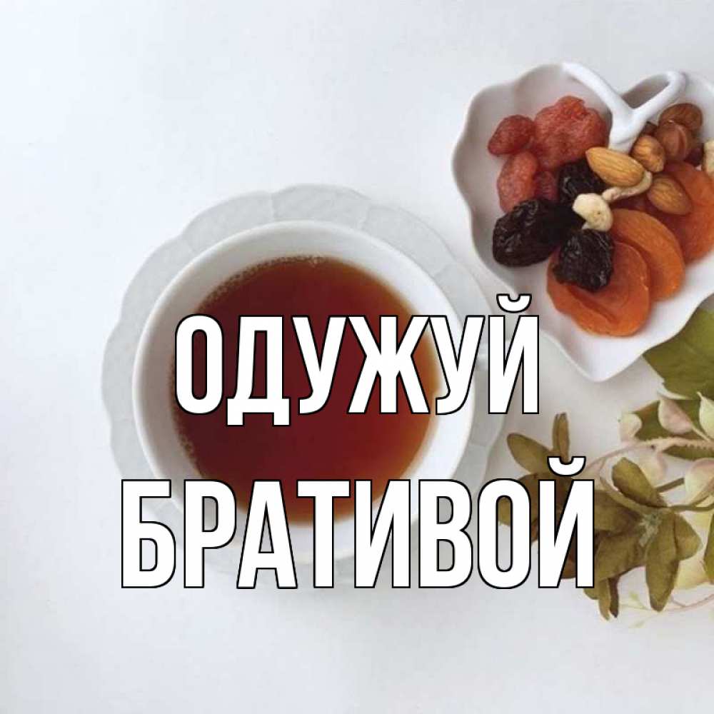 Открытка на каждый день з підписом, Бративой Одужуй неизвестные растения Прикольна листівка з побажанням онлайн скачати безкоштовно 