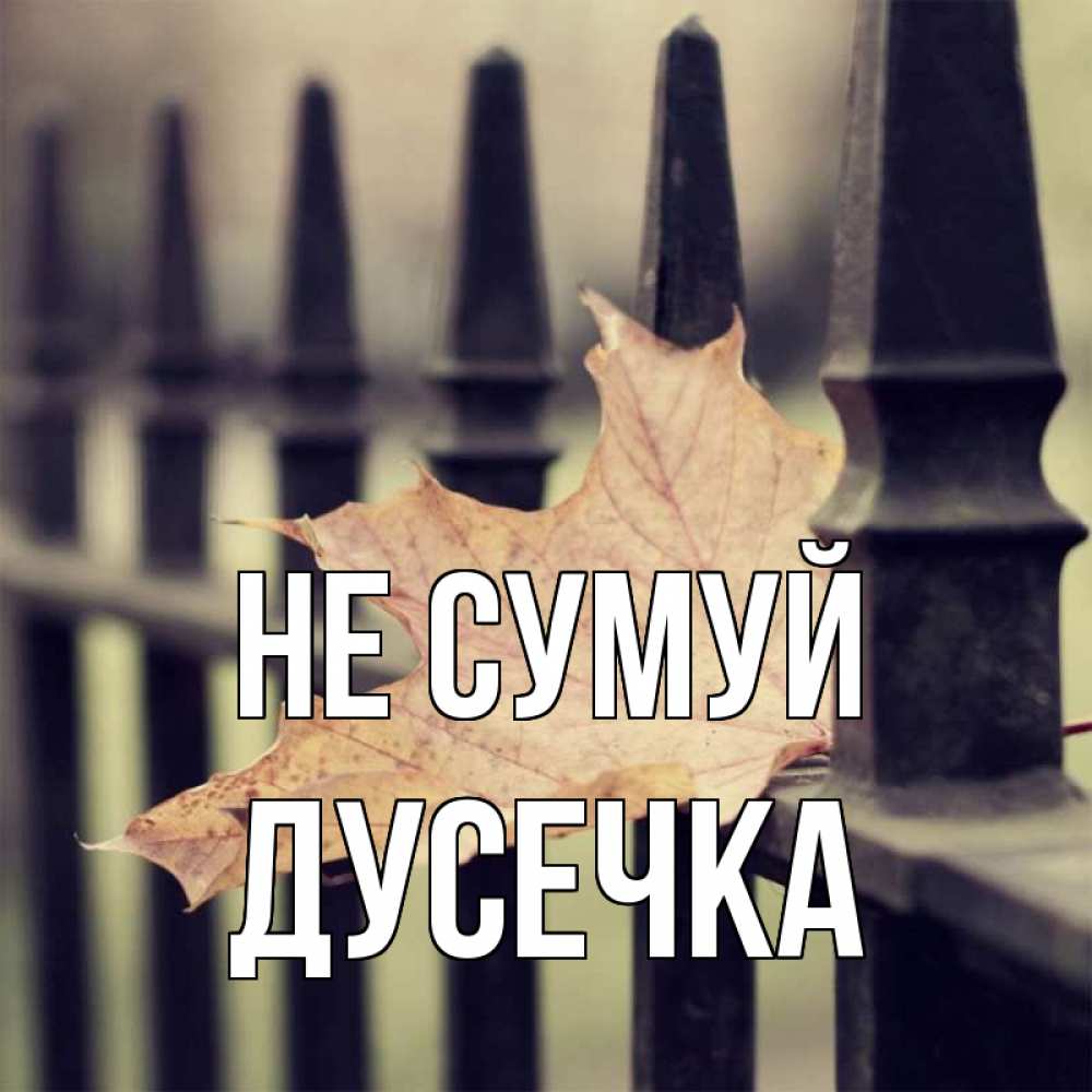 Открытка на каждый день з підписом, Дусечка Не сумуй лист клена Прикольна листівка з побажанням онлайн скачати безкоштовно 