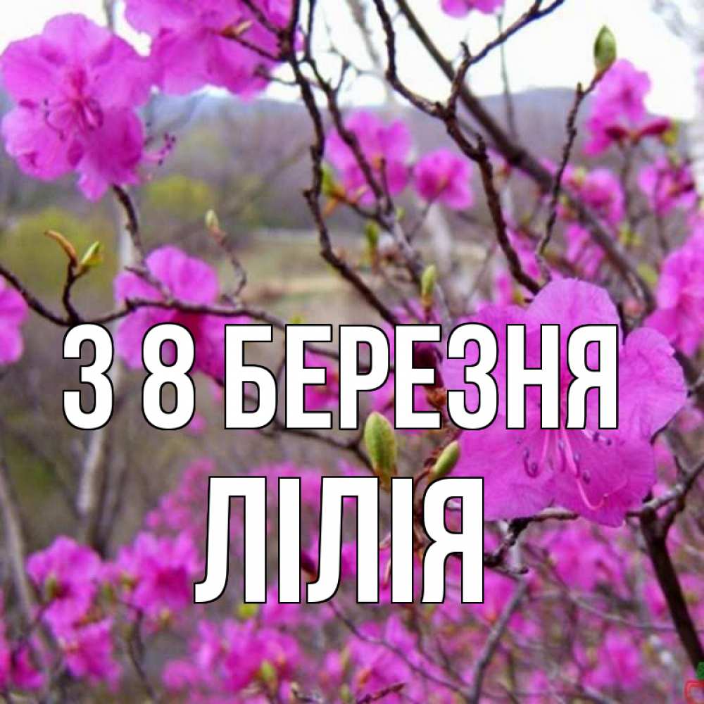 Открытка на каждый день з підписом, Лілія З 8 БЕРЕЗНЯ международный женский день Прикольна листівка з побажанням онлайн скачати безкоштовно 