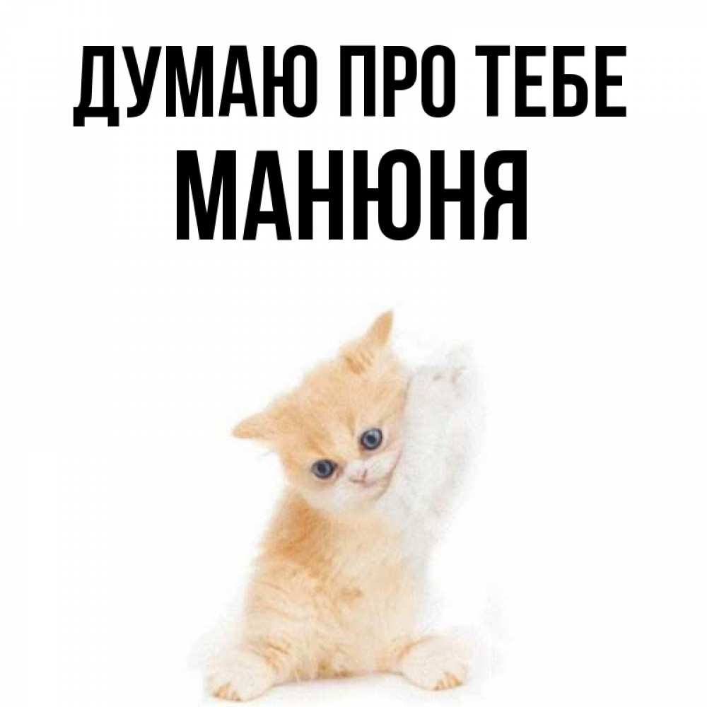 Открытка на каждый день з підписом, Манюня Думаю про тебе зверушки и милота Прикольна листівка з побажанням онлайн скачати безкоштовно 