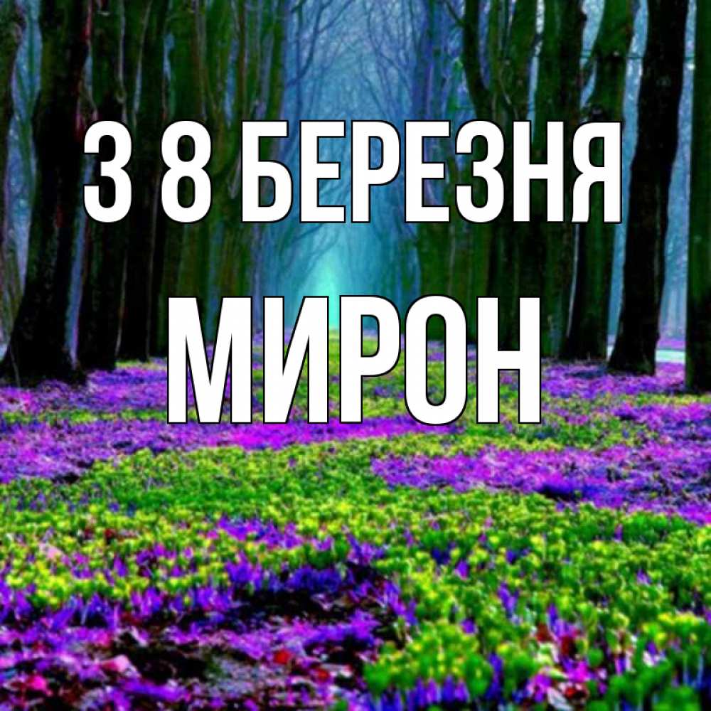 Открытка на каждый день з підписом, Мирон З 8 БЕРЕЗНЯ фиолетовые цветы в лесу 1 Прикольна листівка з побажанням онлайн скачати безкоштовно 