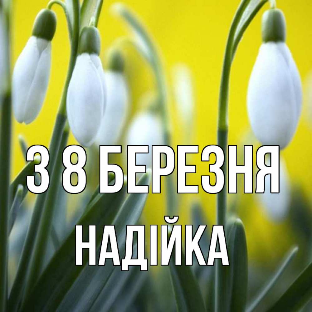 Открытка на каждый день з підписом, Надійка З 8 БЕРЕЗНЯ весенние цветы Прикольна листівка з побажанням онлайн скачати безкоштовно 