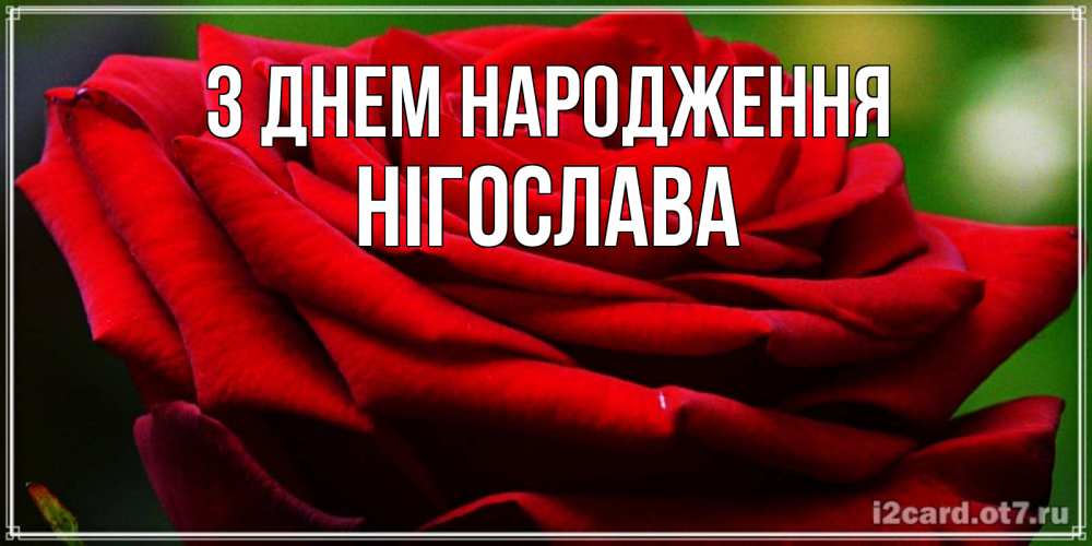 Открытка на каждый день з підписом, Нігослава З Днем народження розочка очень красивая Прикольна листівка з побажанням онлайн скачати безкоштовно 