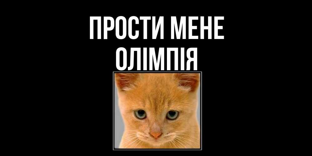 Открытка на каждый день з підписом, Олімпія Прости мене рыжий грустный кот просит прощения Прикольна листівка з побажанням онлайн скачати безкоштовно 