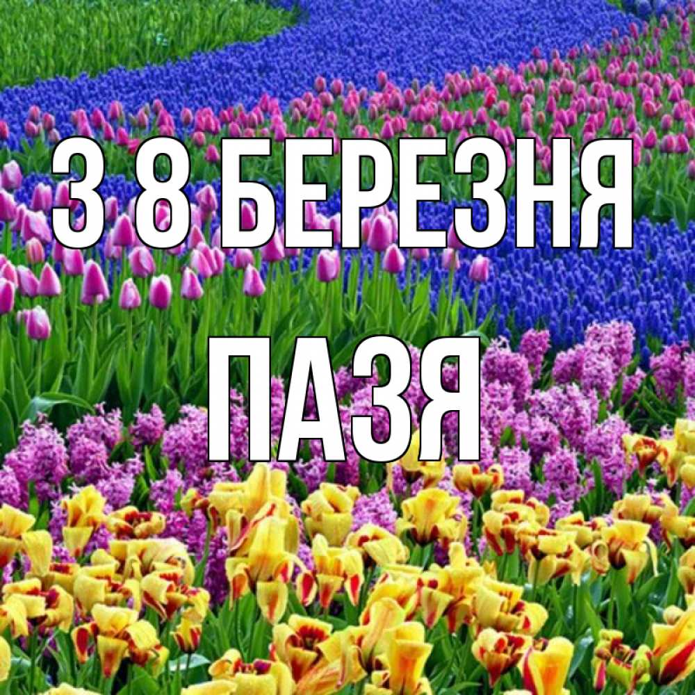 Открытка на каждый день з підписом, Пазя З 8 БЕРЕЗНЯ цветы Прикольна листівка з побажанням онлайн скачати безкоштовно 