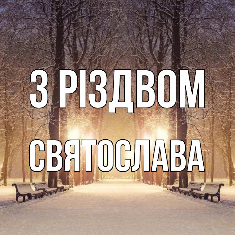 Открытка на каждый день з підписом, Святослава З Різдвом зима, парк, фонарь, лес Прикольна листівка з побажанням онлайн скачати безкоштовно 