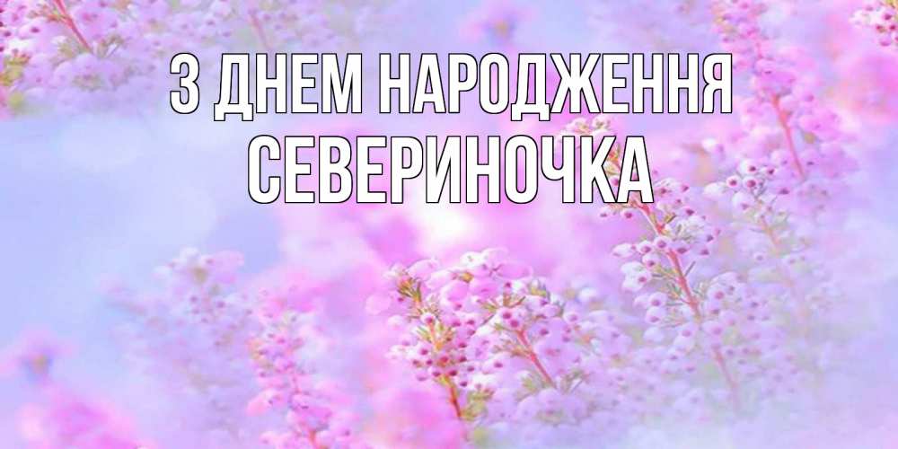 Открытка на каждый день з підписом, Севериночка З Днем народження красивая открытка с мелкими цветами Прикольна листівка з побажанням онлайн скачати безкоштовно 