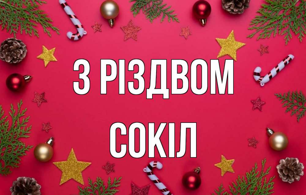 Открытка на каждый день з підписом, Сокіл З Різдвом с рождеством Прикольна листівка з побажанням онлайн скачати безкоштовно 