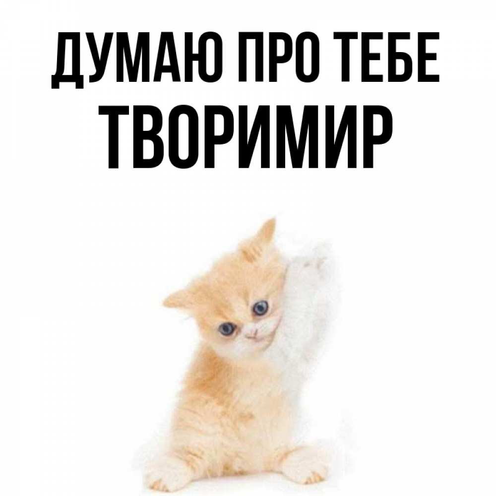 Открытка на каждый день з підписом, Творимир Думаю про тебе зверушки и милота Прикольна листівка з побажанням онлайн скачати безкоштовно 