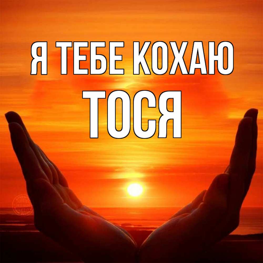 Открытка на каждый день з підписом, Тося Я тебе кохаю в руках Прикольна листівка з побажанням онлайн скачати безкоштовно 