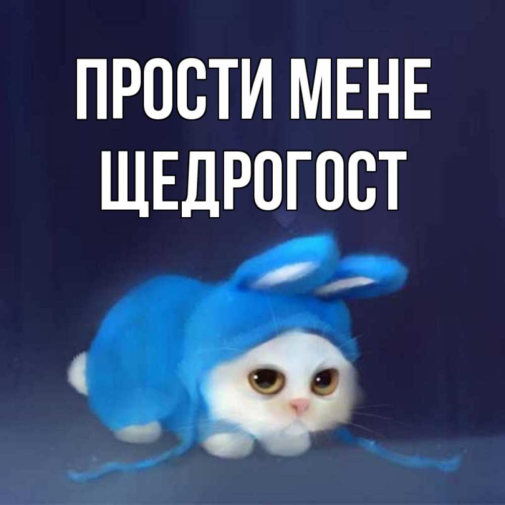 Открытка на каждый день з підписом, Щедрогост Прости мене невинный котозай просит прощения Прикольна листівка з побажанням онлайн скачати безкоштовно 