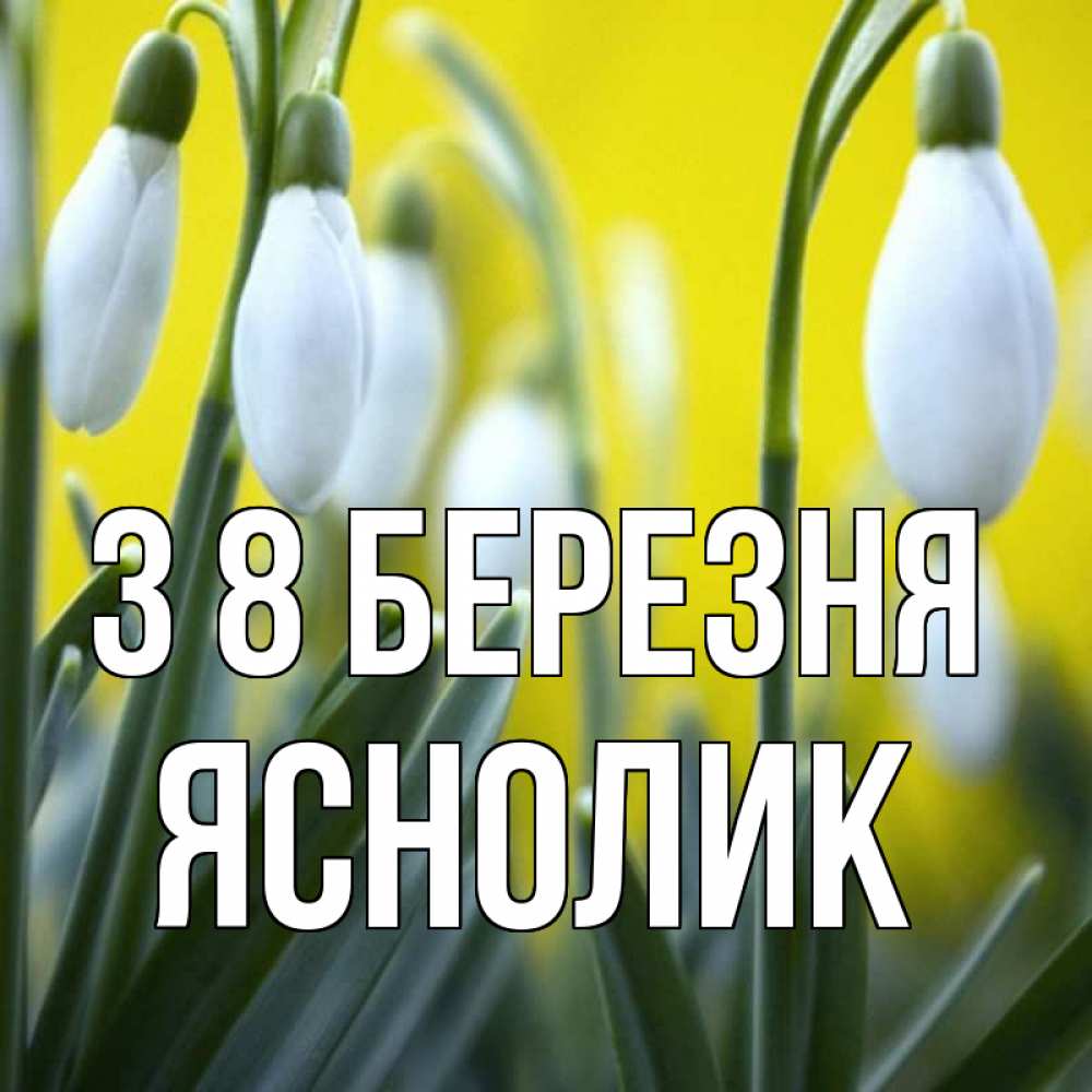 Открытка на каждый день з підписом, Яснолик З 8 БЕРЕЗНЯ весенние цветы Прикольна листівка з побажанням онлайн скачати безкоштовно 