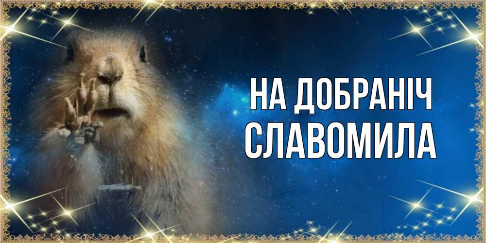 Открытка на каждый день з підписом, Славомила На добраніч спокойной ночи сладких снов Прикольна листівка з побажанням онлайн скачати безкоштовно 