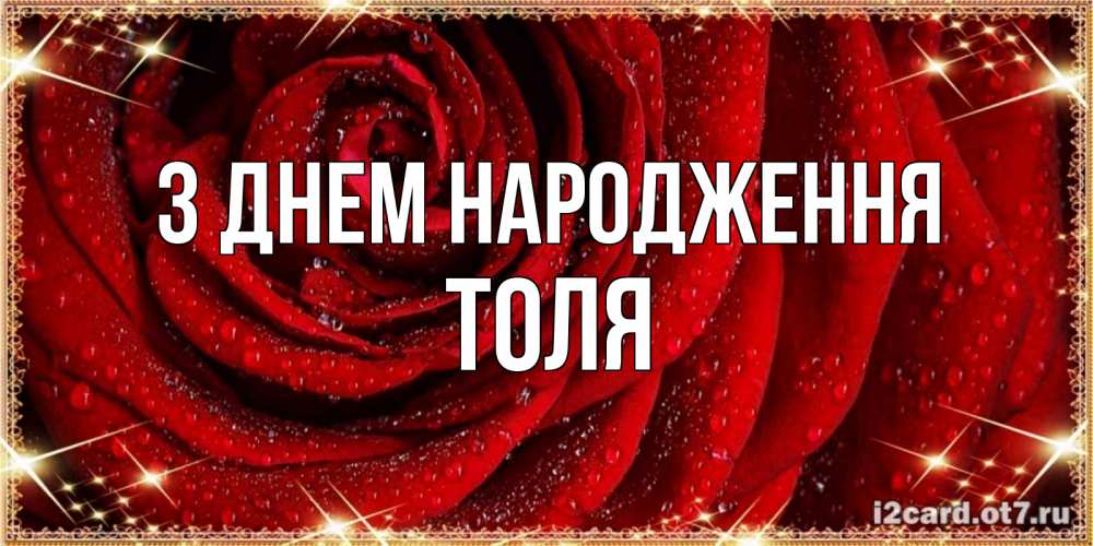 Открытка на каждый день з підписом, Толя З Днем народження роса на розе блестящая в лучах солнца Прикольна листівка з побажанням онлайн скачати безкоштовно 