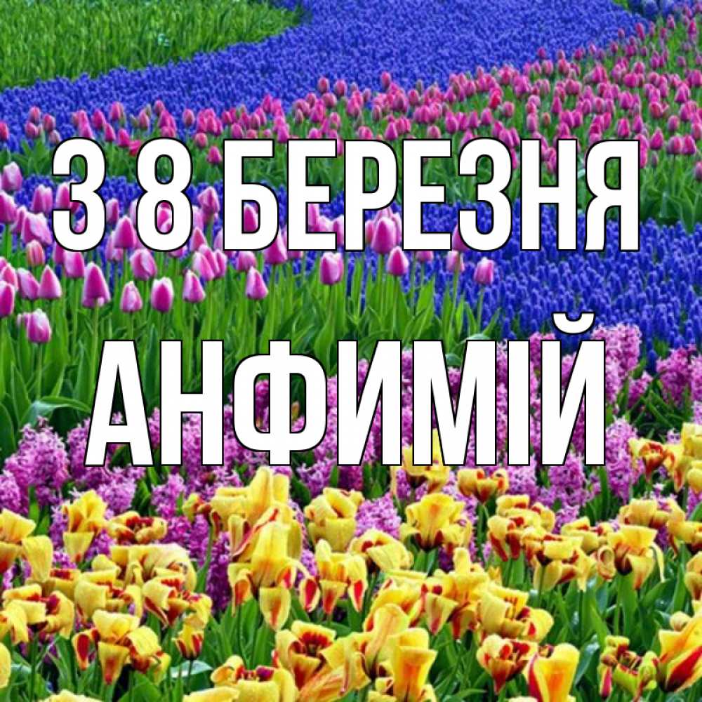 Открытка на каждый день з підписом, Анфимій З 8 БЕРЕЗНЯ цветы Прикольна листівка з побажанням онлайн скачати безкоштовно 