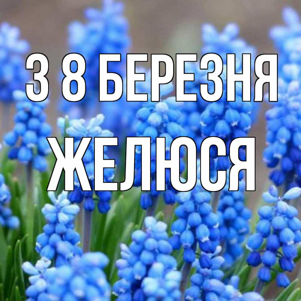 Открытка на каждый день з підписом, Желюся З 8 БЕРЕЗНЯ Поздравительная открытка для женщин с цветами на праздничную дату Прикольна листівка з побажанням онлайн скачати безкоштовно 