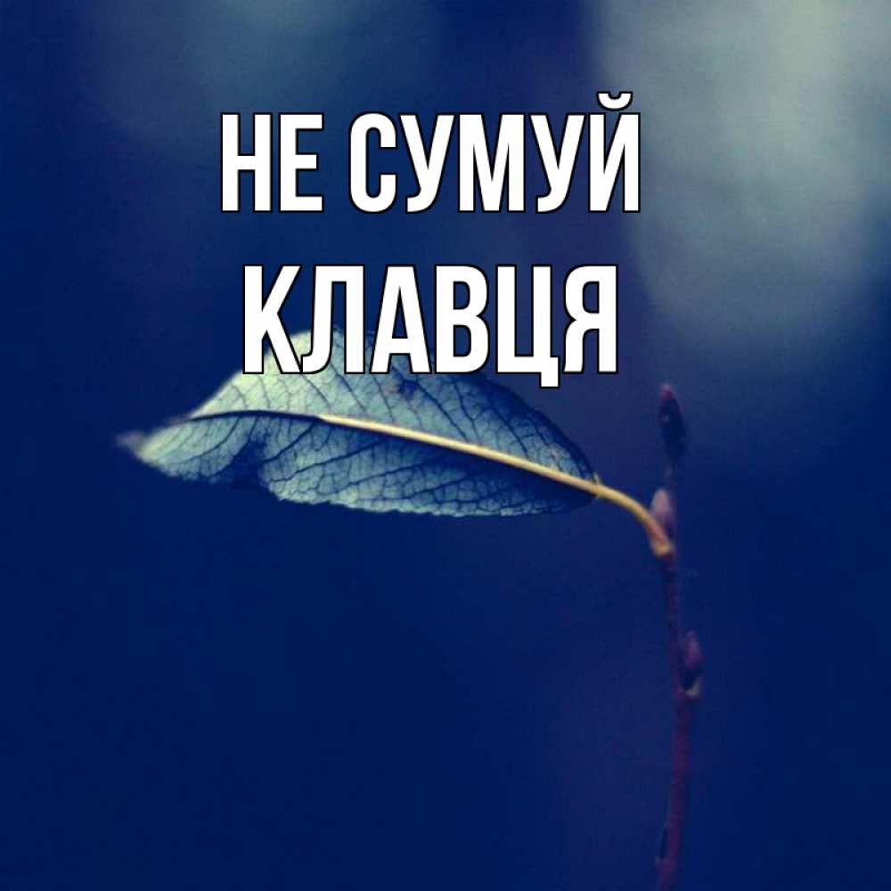 Открытка на каждый день з підписом, Клавця Не сумуй растение Прикольна листівка з побажанням онлайн скачати безкоштовно 