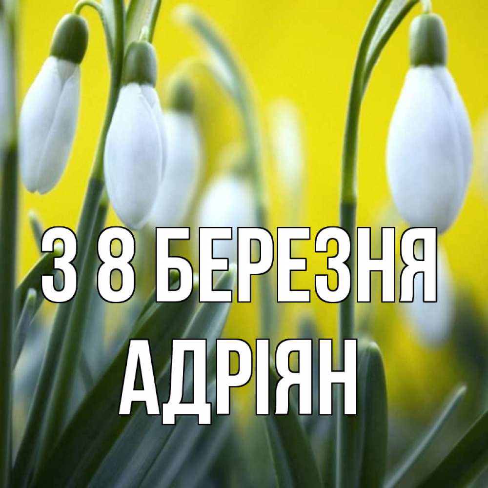 Открытка на каждый день з підписом, Адріян З 8 БЕРЕЗНЯ весенние цветы Прикольна листівка з побажанням онлайн скачати безкоштовно 