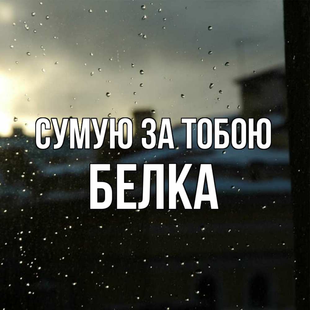 Открытка на каждый день з підписом, Белка Сумую за тобою капли на стекле Прикольна листівка з побажанням онлайн скачати безкоштовно 