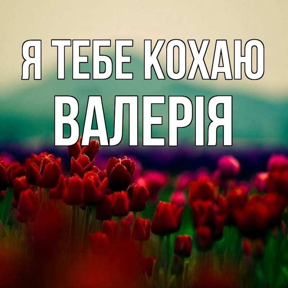Открытка на каждый день з підписом, Валерія Я тебе кохаю тюльпаны 4 Прикольна листівка з побажанням онлайн скачати безкоштовно 