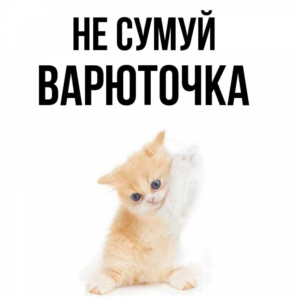 Открытка на каждый день з підписом, Варюточка Не сумуй просящий кот Прикольна листівка з побажанням онлайн скачати безкоштовно 