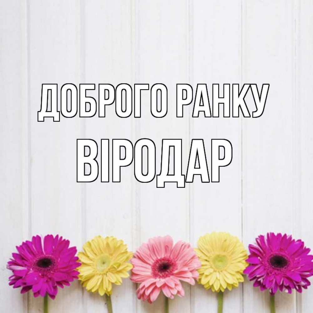 Открытка на каждый день з підписом, Віродар Доброго ранку красный желтый и розовый цветок Прикольна листівка з побажанням онлайн скачати безкоштовно 