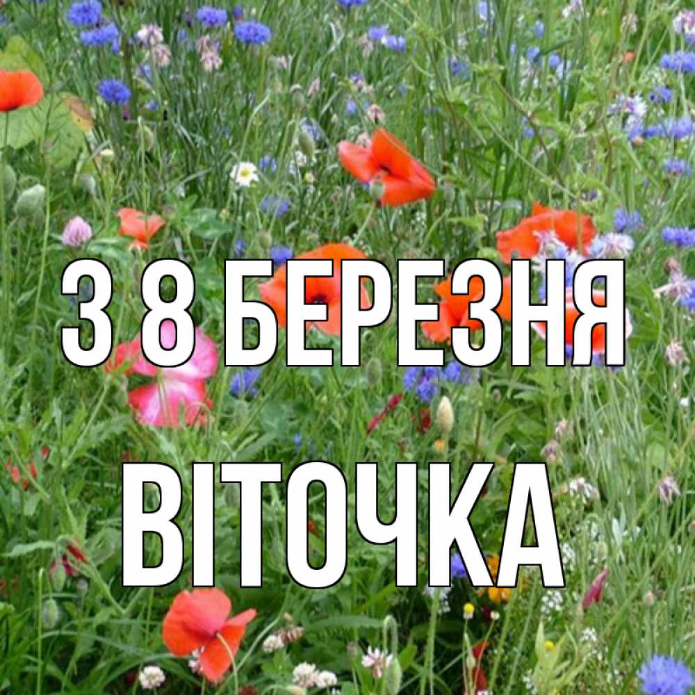 Открытка на каждый день з підписом, Віточка З 8 БЕРЕЗНЯ международный женский день 4 Прикольна листівка з побажанням онлайн скачати безкоштовно 
