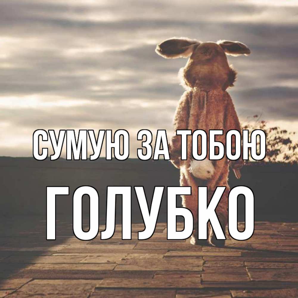 Открытка на каждый день з підписом, Голубко Сумую за тобою даже в костюме зайца Прикольна листівка з побажанням онлайн скачати безкоштовно 