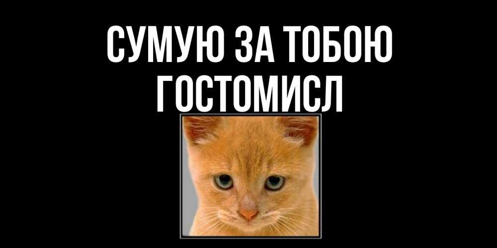 Открытка на каждый день з підписом, Гостомисл Сумую за тобою открытки рыжий котенок скучает по тебе Прикольна листівка з побажанням онлайн скачати безкоштовно 