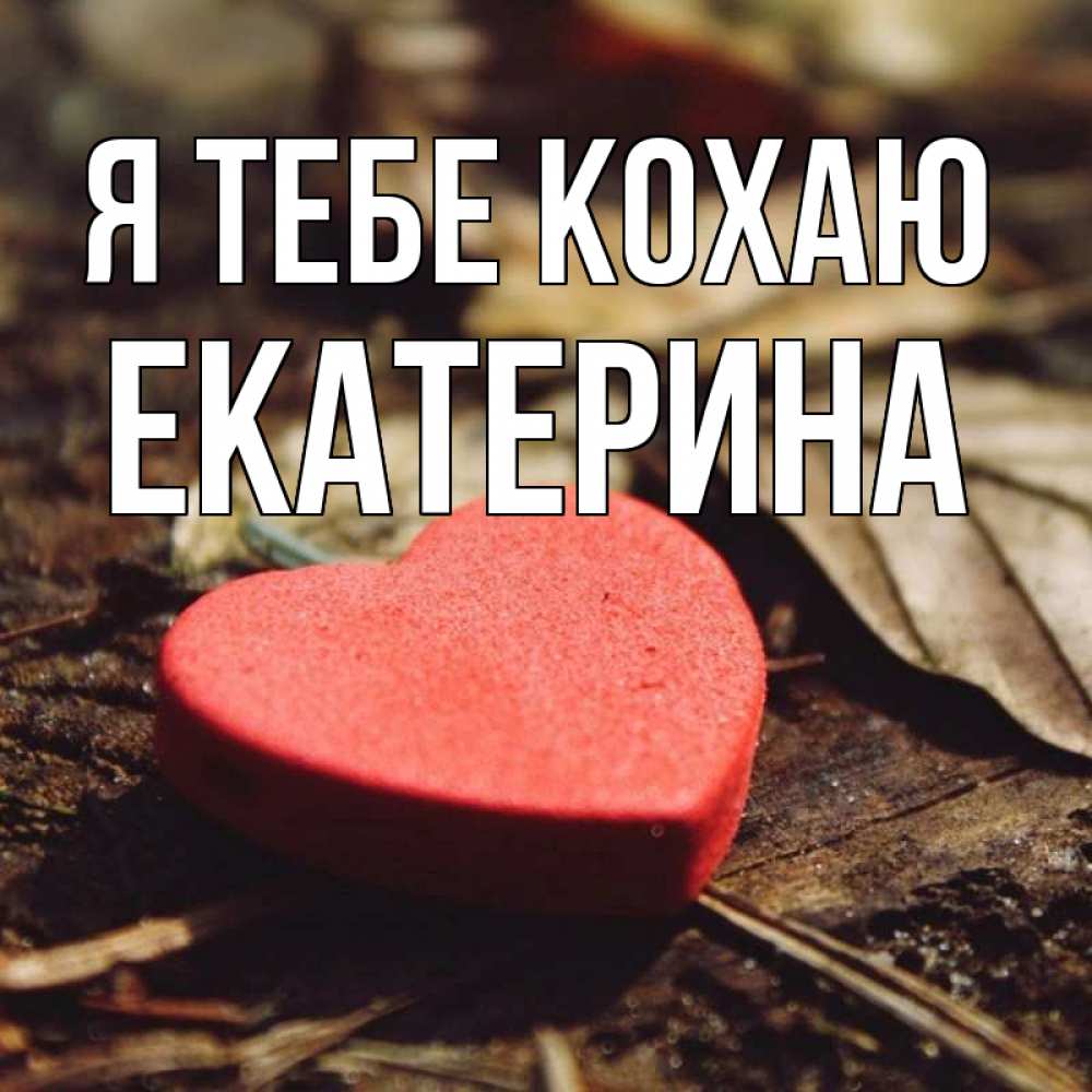 Открытка на каждый день з підписом, Екатерина Я тебе кохаю листья деревье 4 Прикольна листівка з побажанням онлайн скачати безкоштовно 