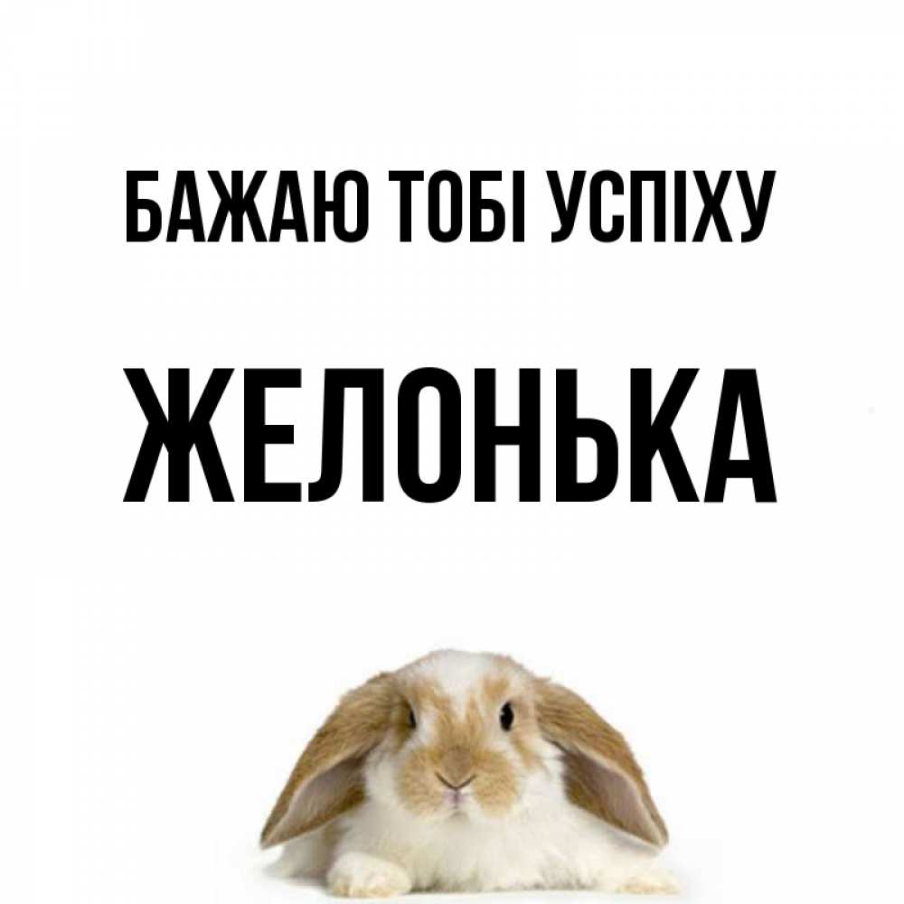 Открытка на каждый день з підписом, Желонька Бажаю тобі успіху открытки с произвольным текстом который можно вставить в открытку и создать ее самостоятельно бесплатно онлайн Прикольна листівка з побажанням онлайн скачати безкоштовно 