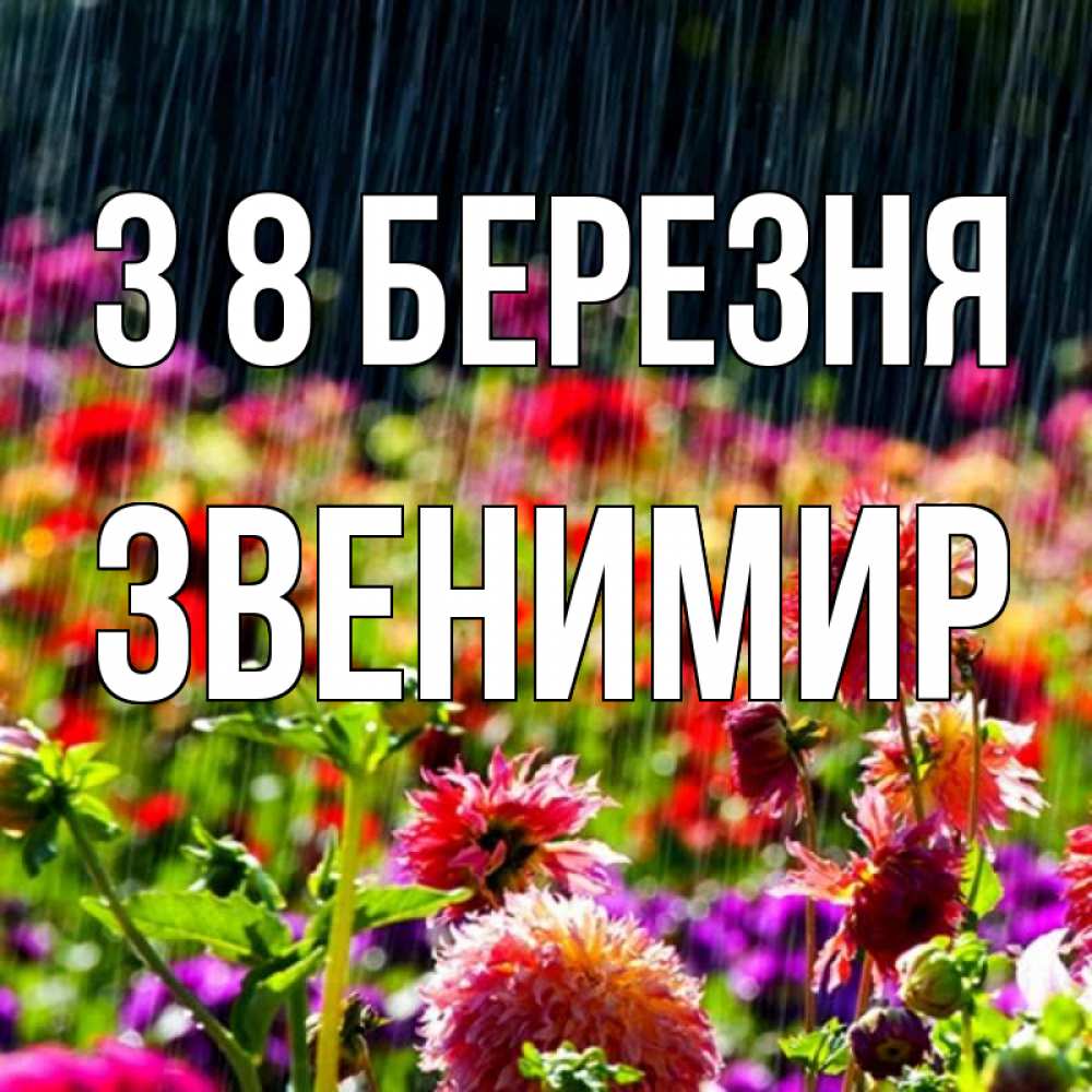 Открытка на каждый день з підписом, Звенимир З 8 БЕРЕЗНЯ цветы под дождиком к международному женскому дню Прикольна листівка з побажанням онлайн скачати безкоштовно 