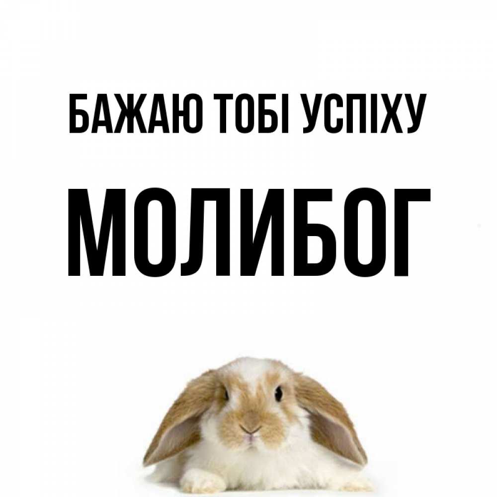 Открытка на каждый день з підписом, Молибог Бажаю тобі успіху открытки с произвольным текстом который можно вставить в открытку и создать ее самостоятельно бесплатно онлайн Прикольна листівка з побажанням онлайн скачати безкоштовно 