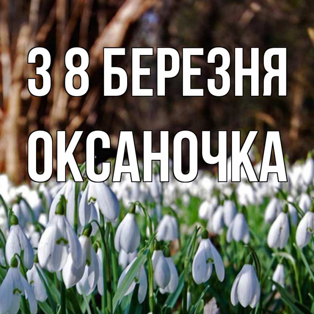 Открытка на каждый день з підписом, Оксаночка З 8 БЕРЕЗНЯ с подснежниками 1 Прикольна листівка з побажанням онлайн скачати безкоштовно 