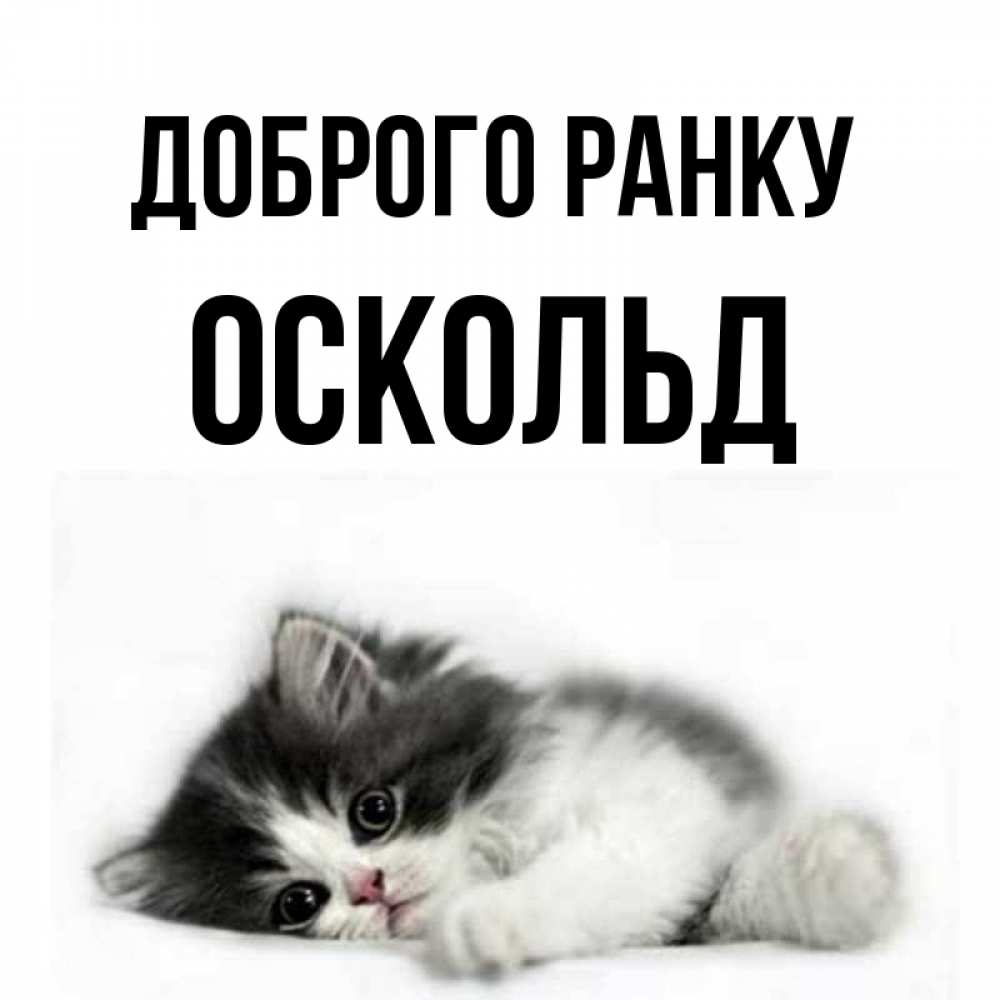 Открытка на каждый день з підписом, Оскольд Доброго ранку кот лапки Прикольна листівка з побажанням онлайн скачати безкоштовно 