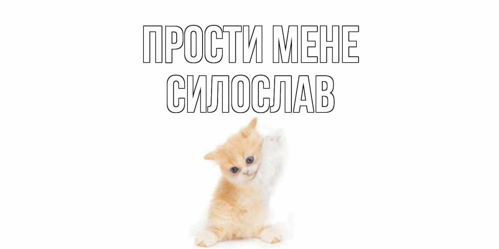 Открытка на каждый день з підписом, Силослав Прости мене кот Прикольна листівка з побажанням онлайн скачати безкоштовно 