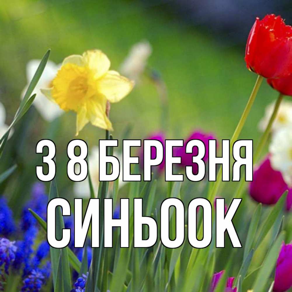 Открытка на каждый день з підписом, Синьоок З 8 БЕРЕЗНЯ международный женский день 3 Прикольна листівка з побажанням онлайн скачати безкоштовно 