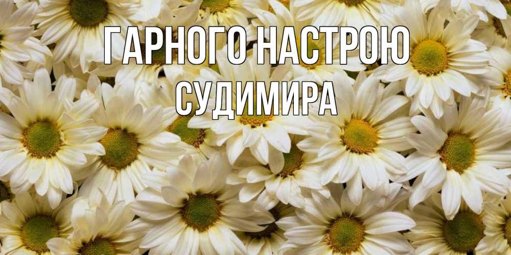 Открытка на каждый день з підписом, Судимира Гарного настрою крупные ромашки Прикольна листівка з побажанням онлайн скачати безкоштовно 