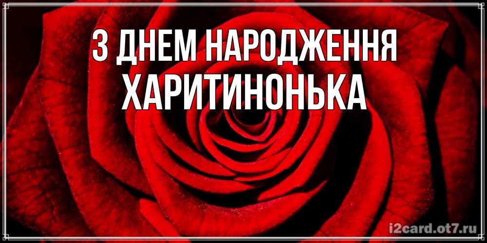 Открытка на каждый день з підписом, Харитинонька З Днем народження алая роза Прикольна листівка з побажанням онлайн скачати безкоштовно 
