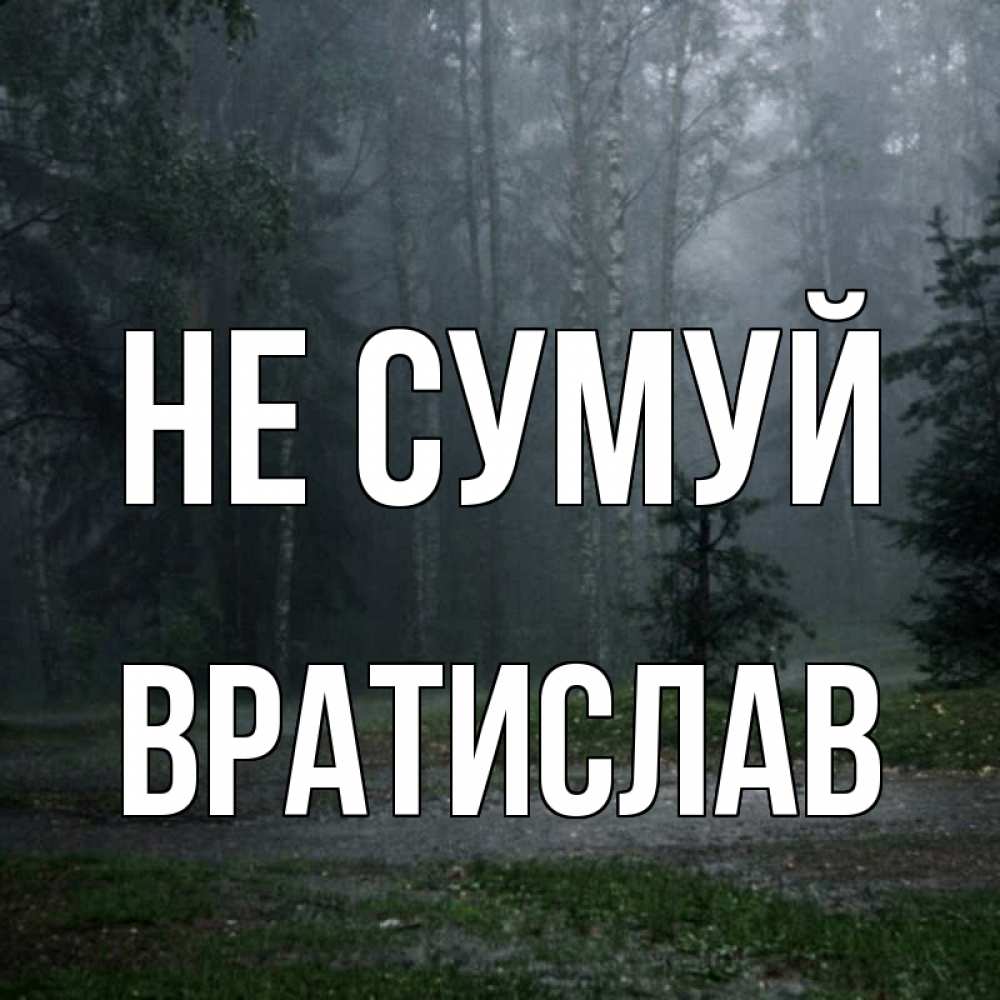 Открытка на каждый день з підписом, Вратислав Не сумуй осень Прикольна листівка з побажанням онлайн скачати безкоштовно 